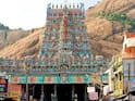 திருப்பரங்குன்றம் தீபம் தொடர்பாக மனு.. 50 ஆயிரம்  அபராதம் விதித்து மனுவை தள்ளுபடி செய்த உயர்நீதிமன்ற கிளை !