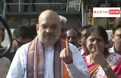 Gujarat Election 2022: કેન્દ્રીય ગૃહમંત્રી અમિત શાહે પરિવાર સાથે વોટિંગ કર્યા બાદ શું કર્યું ? જાણો વિગત