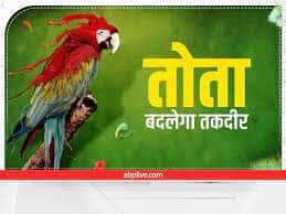 પોપટ - સ્વપ્નમાં પોપટને જોવું એ ધન પ્રાપ્તિની નિશાની માનવામાં આવે છે. જો તમને સપનામાં પોપટ દેખાય તો સમજી લેવું કે તમને કોઈ સારા સમાચાર મળવાના છે. જો તમે પોપટની જોડી જુઓ તો તે વધુ શુભ છે. તેનાથી વિવાહિત સંબંધોમાં પ્રેમ વધે છે.