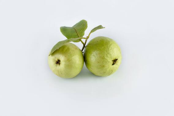 Guava Side Effects: अमरूद के सेवन से बिगड़ सकती हैं ये बीमारियां; पता लगाना! Guava Side Effects: अमरूद के सेवन से बिगड़ सकती हैं ये बीमारियां; पता लगाना!