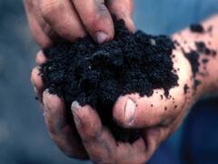 Photo: आज जागतिक मृदा दिन, अन्नसुरक्षेसाठी महत्त्वाची आहे माती