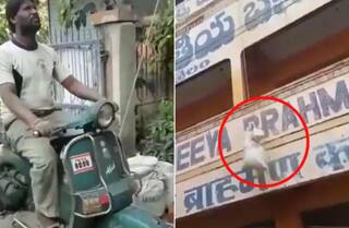 ਪੁਰਾਣੇ ਸਕੂਟਰ ਤੋਂ ਬਣਿਆ ਅਜਿਹਾ ਦੇਸੀ ਜੁਗਾੜ, ਪਲਾਂ ਵਿੱਚ ਹੀ ਚੜ੍ਹ ਗਈ ਭਾਰੀ ਬੋਰੀ