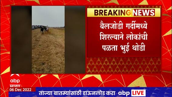 Hingoli : बैलगाडा शर्यत पाहणं आलं अंगलट, आरडा-ओरड्यामुळे बिथरलेली बैलजोडी थेट लोकांच्या घोळक्यात