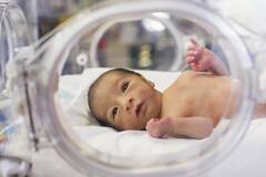 Pre Mature Baby : ਜਾਣੋ ਕਿਉਂ ਵੱਧ ਰਹੇ ਪ੍ਰੀ ਬਰਥ ਟਰਮ ਦੇ ਕੇਸ ? ਆਓ ਜਾਣੀਏ ਕੀ ਕਹਿੰਦੀ ਰਿਸਰਚ