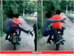 सड़क पर खड़ी भैंस को बाइक सवार ने मारी लात, अगले ही पल मिली बुरे कर्मों की सजा