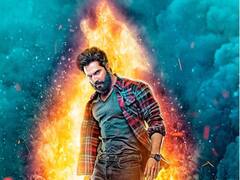 बॉक्स ऑफिस पर औंधे मुंह गिरी 'भेड़िया', 11वें दिन किया महज इतना कलेक्शन