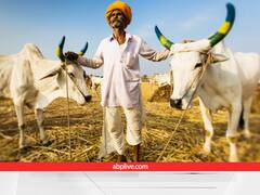 25-300 रुपये में दुधारु पशुओं का करवाएं बीमा, नुकसान हुआ तो 88,000 रुपये देगी सरकार, ऐसे करें आवेदन