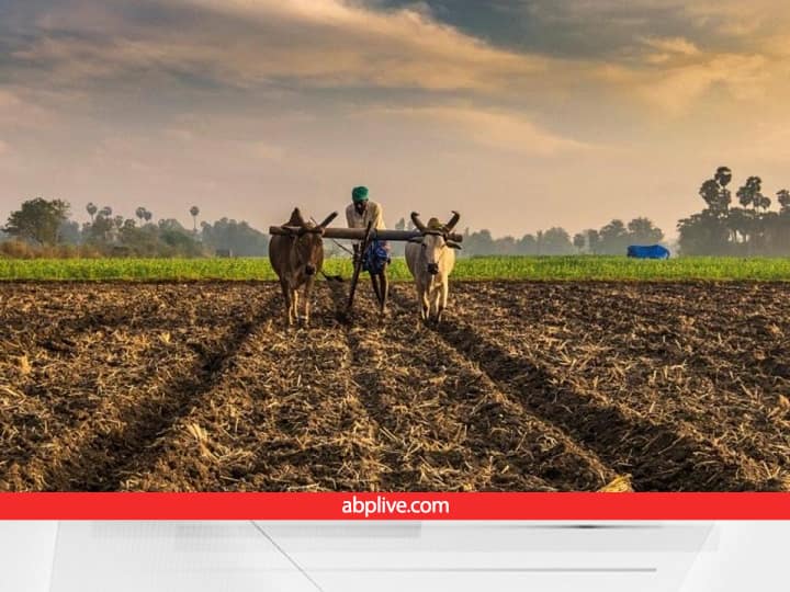 Natural Farming: रंग लाई किसानों की मेहनत, नेचुरल फार्मिंग के जरिए फिर से कवर कर लिया 4.78 लाख हेक्टेयर रकबा Farmers of 17 states covered 4.78 lakh hectare additional area Under Natural Farming Natural Farming: रंग लाई किसानों की मेहनत, नेचुरल फार्मिंग के जरिए फिर से कवर कर लिया 4.78 लाख हेक्टेयर रकबा