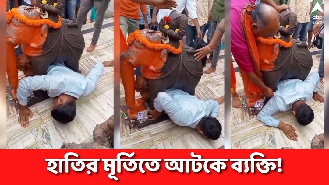 Viral video shows man stuck under an elephant statue at a temple Viral Video: ধর্মীয় নিয়ম পালন করতে গিয়ে হাতির পায়ে আটকে ব্যক্তি!