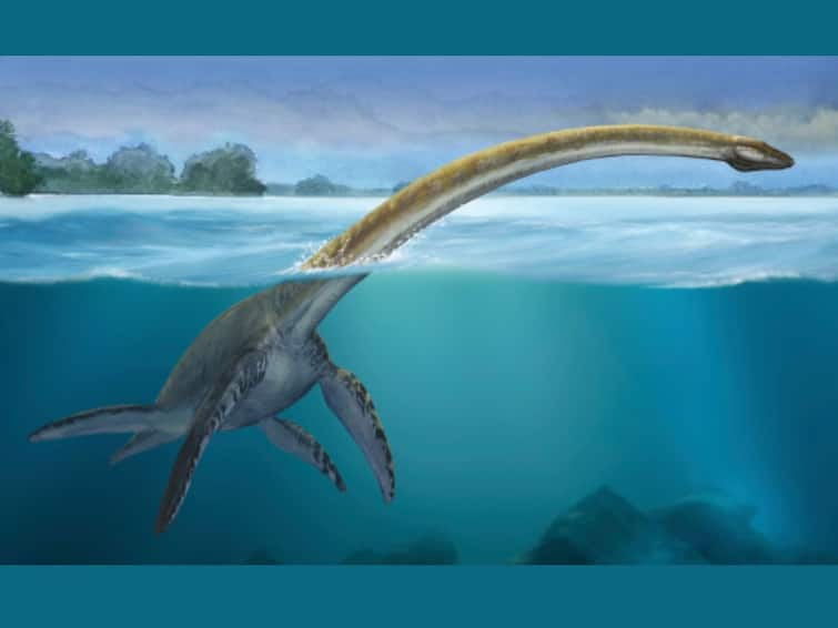 Queensland Fossil Hunters Discover Remains Of 100-Million-Year-Old Plesiosaur In Australia: Report Queensland Fossil Hunters Discover Remains Of 100-Million-Year-Old Plesiosaur In Australia: Report