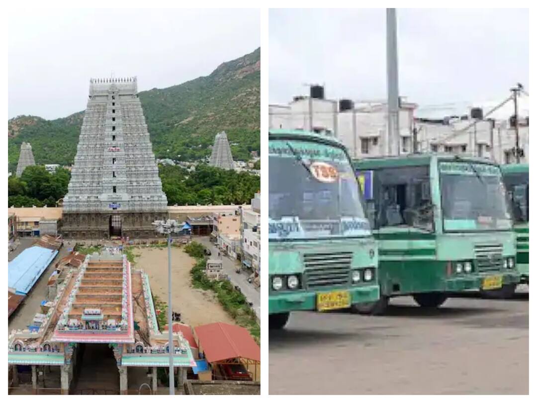 Tiruvanamalai Deepam: களைகட்டும் திருவண்ணாமலை தீபத் திருவிழா: இன்று மட்டும் 1,400 சிறப்பு பேருந்துகள் இயக்க ஏற்பாடு!