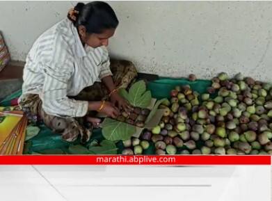Pune news agriculture success story Figs farm from Purandar Dive got 90 rs per dozen marathi news Purandar Figs: अतिवृष्टीवर मात! पुरंदर दिवेतील झेंडे यांच्या अंजिराला मिळतोय 90 रुपये डझन दर