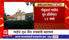 Gokul Increased Prices : गोकुळच्या दुधाच्या किंमतीत वाढ,गाईचं दूध तीन रुपयांनी महागलं