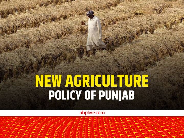 New Agriculture Policy: क्या है नई एग्रीकल्चर पॉलिसी जिसे पंजाब के किसानों के लिए लेकर आ रही है सरकार Punjab Government Plan to Introduce New Agriculture Policy for State Farmers from 31 january 2023 New Agriculture Policy: क्या है नई एग्रीकल्चर पॉलिसी जिसे पंजाब के किसानों के लिए लेकर आ रही है सरकार