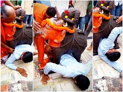 Man Gets Stuck Under Elephant Statue at Gujarat Temple Video Goes Viral Watch Video: யானை சிலைக்குள் சிக்கிக்கொண்ட பக்தர்… குஜராத் கோயில் வைரல் வீடியோ!