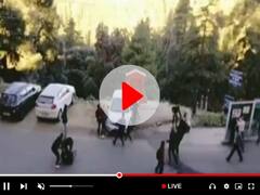 Watch: शिमला की एचपीयू में ABVP-SFI कार्यकर्ताओं में झड़प, जमकर चले लात-घूसे