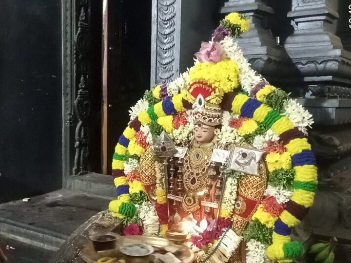 கார்த்திகை மாத கிருத்திகை பூஜை முன்னிட்டு பாலசுப்பிரமணிய சுவாமிக்கு சிறப்பு அபிஷேகம்