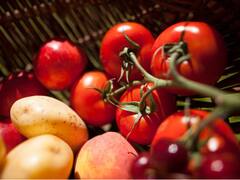Compounds In Potatoes And Tomatoes May Be Used To Develop Cancer Drugs. New Study Explains How