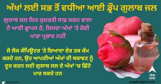 Rose Water and Eyes : ਅੱਖਾਂ ਲਈ ਸਭ ਤੋਂ ਵਧੀਆ ਆਈ ਡ੍ਰੌਪ ਗੁਲਾਬ ਜਲ, ਬਸ ਪਾਉਣ ਦਾ ਇਹ ਸਹੀ ਤਰੀਕਾ ਜਾਣ ਲਓ