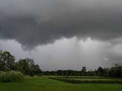 नंदूरबार जिल्ह्यात ढगाळ वातावरण, रब्बी पिकांवर परिणाम होण्याची शक्यता, शेतकरी चिंतेत