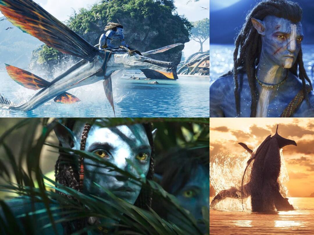 Avatar 2 Twitter Review: பாராட்டு மழையில் நனையும் அவதார் 2; படம் எப்படி இருக்கு..?   - வந்தாச்சு ட்விட்டர் விமர்சனம்!