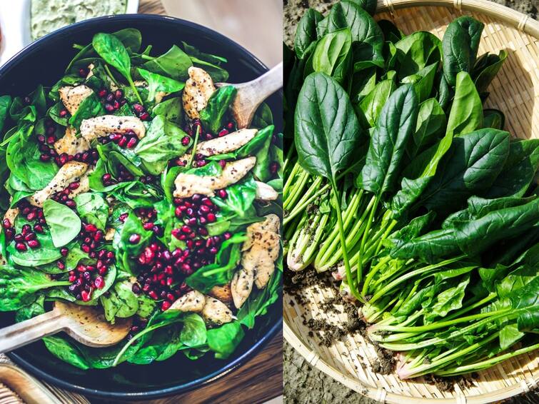 Health Benefits of eating Spinach in Tamil with Pics | Health Benefits