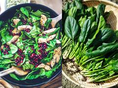 Health Benefits : உடலை ரிலாக்ஸாக வைத்திருக்க உதவும் கீரையின் மற்ற நன்மைகள் என்ன ?