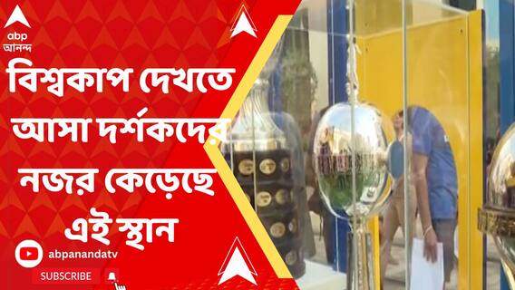 যেন একটুকরো লাতিন আমেরিকা, কাতারে বিশ্বকাপ দেখতে আসা দর্শকদের নজর কেড়েছে এই স্থান