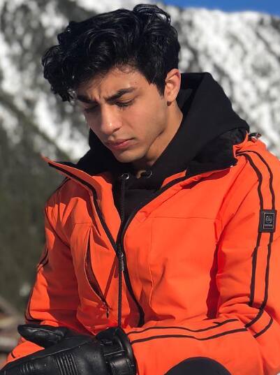 आर्यन अभिनेता म्हणून नव्हे तर दिग्दर्शक म्हणून सिनेसृष्टीत पाऊल ठेवत आहे.