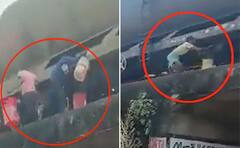 Viral Video: ਦਿਨ-ਦਿਹਾੜੇ ਚੱਲਦੀ ਰੇਲਗੱਡੀ 'ਚੋਂ ਤੇਲ ਚੋਰੀ ਕਰਨ ਦੀ ਵੀਡੀਓ ਹੋਈ ਵਾਇਰਲ, ਚੋਰਾਂ ਨੇ ਮੌਤ ਦੇ ਕਰੀਬ ਜਾ ਕੇ ਦਿੱਤਾ ਵਾਰਦਾਤ ਨੂੰ ਅੰਜਾਮ