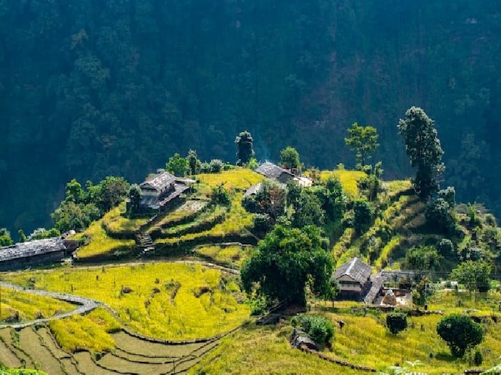 इस पैकेज में आपको टूर गाइड की सुविधा भी मिलेगी. वापस लौटने के लिए आपको हैदराबाद में की फ्लाइट की टिकट मिलेगी.
