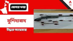 পুলিশি হানায় অস্ত্র কারবারির বাড়ি থেকে উদ্ধার আগ্নেয়াস্ত্র, গ্রেফতার ১