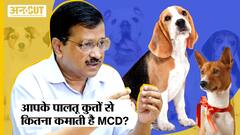 MCD Elections 2022 : Pet Dogs पर लगे Tax से कितना कमाएगी Arvind Kejriwal की सरकार?