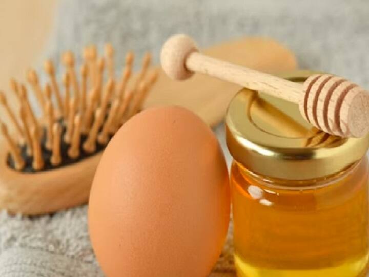 This Winter, Include Eggs In Your Haircare Routine பெண்கள் கவனத்திற்கு! நீளமான அடர்த்தியான கூந்தல் வேண்டுமா..? உங்களுக்கு முட்டைதான் ஃபர்ஸ்ட் சாய்ஸ்!