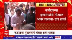 Raj Thackeray Tweet on Border Issue : कर्नाटकच्या मुख्यमंत्र्यांनी तोंडावर आवर घालावा,ठाकरेंचं ट्विट
