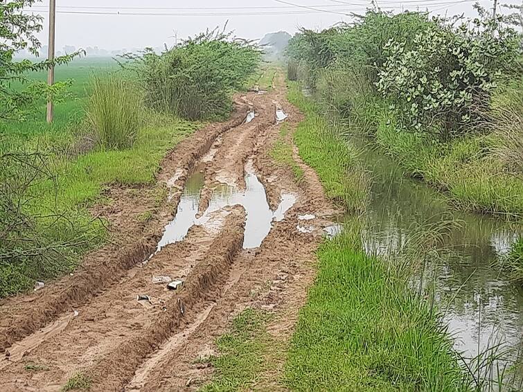 Thanjavur public demands to renovate Irrigation canal embankment தஞ்சாவூர்: சீரமைக்கப்படாத வாய்க்கால் கரை - கண்டுகொள்ளாத பொதுப்பணித்துறை - விவசாயிகள் வேதனை