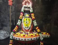 Tamil Nadu's Festival Of Lights Karthigai Deepam Celebrated With Religious Fervor. See Pics