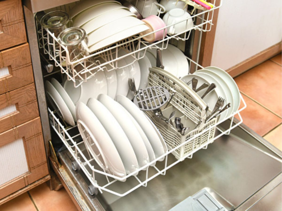 Commercial Dishwashers Destroy Protective Layer in Gut