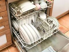 Commercial Dishwashers Pose Health Risk To Protective Layer In Gut: Study