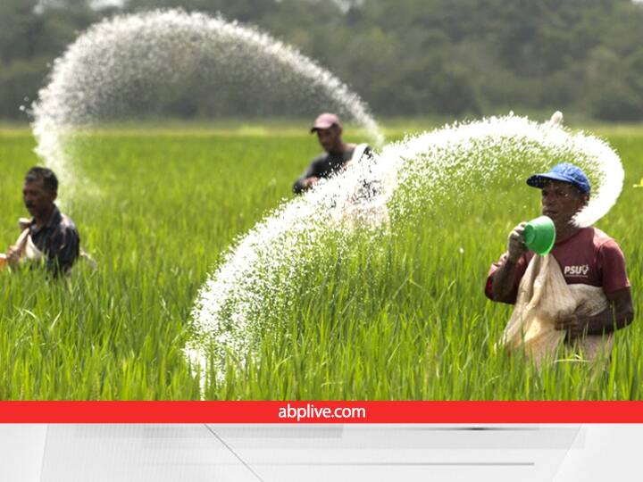 fertilizer production Indian Government has a target of producing 10 million metric tons of SSP manure Fertilizer Uses: SSP खाद से लहलहाएंगी फसलें, सरकार ने रखा 1 करोड़ मीट्रिक टन उत्पादन का लक्ष्य, चल रही है ये तैयारी
