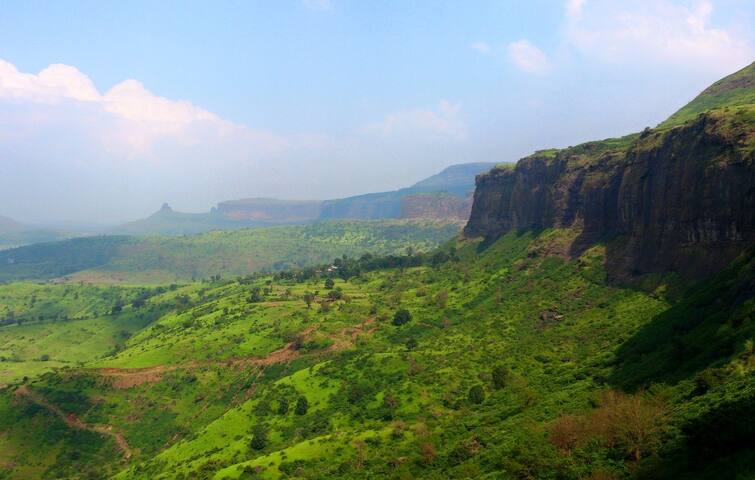 maharashtra news nashik news forest Trimbakeshwar declared as 'Conservation Area' Nashik Conservation : त्र्यंबकेश्वरच्या ब्रम्हगिरी पर्वताला मिळालं सुरक्षा कवच, संवर्धन क्षेत्र म्हणजे नेमकं काय? 