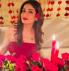 Raveena Tandon Pics: गुलाब और मोमबत्ती के साथ मदमस्त नजर आईं रवीना टंडन, तस्वीरें देख उड़ जाएंगे होश