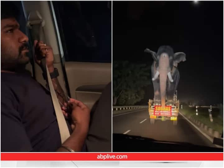 Viral Video man sleeping in a car is horrified to see an elephant in front of him as soon as he opens his eyes Viral Video: सो रहे शख्स को आंख खोलते ही लगा 440 वोल्ट का झटका, वीडियो देख दंग रह जाएंगे आप