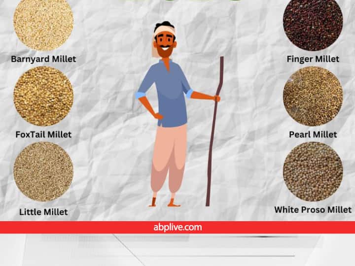 International Year of Millit 2023 Schemes are being run to promote nutritious grains in 5 indian States Millets Farming Scheme:मिलिट्स की खेती के लिए 10,000 रुपये अनुदान दे रही सरकार, इन राज्यों में हो रही खास पहल