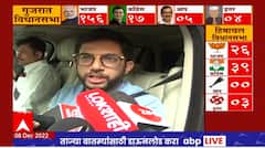 Aaditya Thackeray : प्रकल्प पळवल्यानंतर आता गावं, जिल्हा पळवण्याचा प्रकार सुरुये : आदित्य ठाकरे
