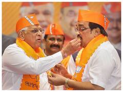BJP Workers Celebrate After Party Records Historic Win In Gujarat. In Pics