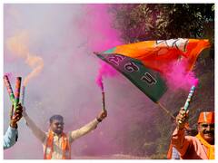 BJP Workers Celebrate After Party Records Historic Win In Gujarat. In Pics