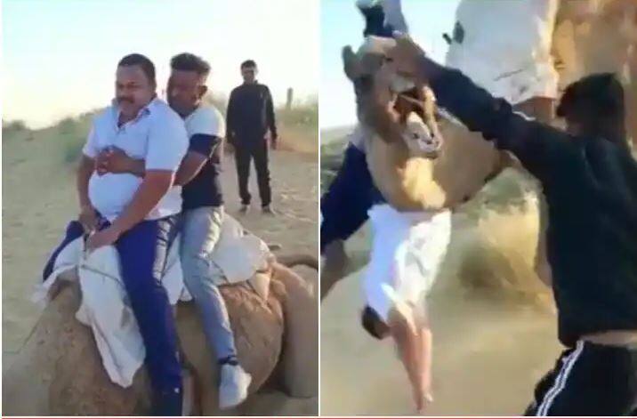 two people fell down while riding on camel funny viral video ਊਠ ਦੀ ਸਵਾਰੀ ਕਰਨ ਆਏ ਦੋ ਬੰਦੇ ਅਗਲੇ ਹੀ ਪਲ ਮੂੰਹ ਦੇ ਭਾਰ ਡਿੱਗ ਪਏ, ਵੇਖੋ ਇਹ ਮਜ਼ੇਦਾਰ Video