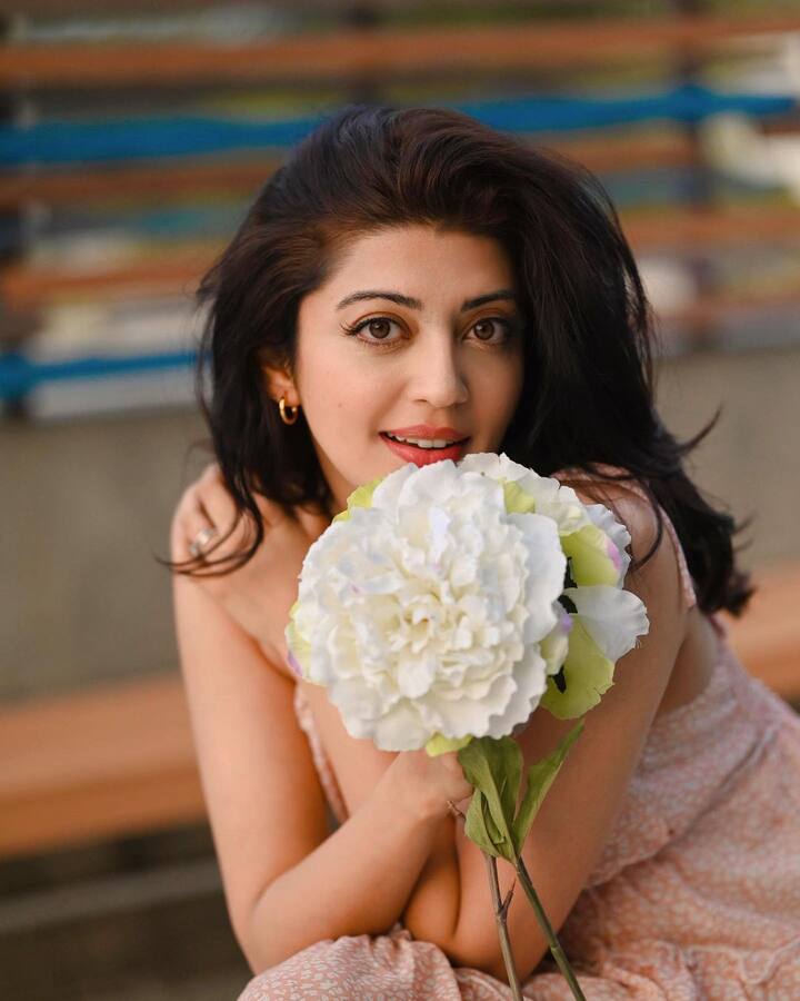ప్రణీత అందమైన ఫోటోలు. Image Credit: Pranitha Subhash/Instagram