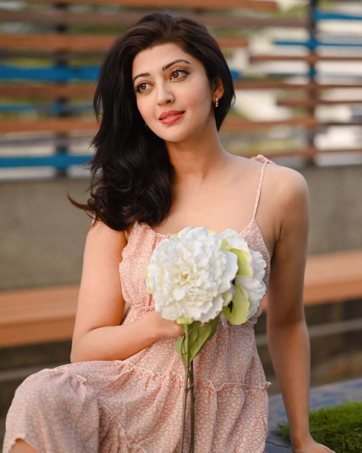 ప్రణీత అందమైన ఫోటోలు. Image Credit: Pranitha Subhash/Instagram